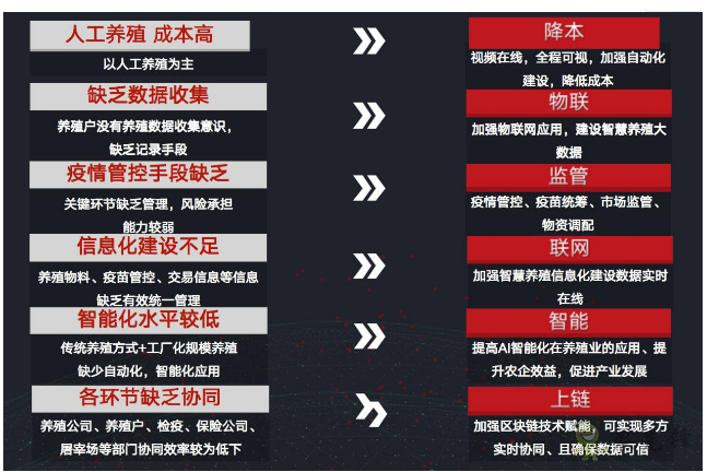 就連養(yǎng)豬都是智能化？現(xiàn)代農(nóng)業(yè)還遠(yuǎn)嗎？