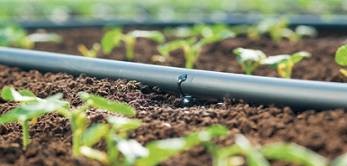 以色列農(nóng)業(yè)