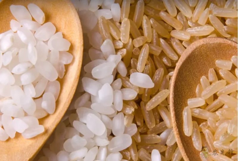 【深度透視】美國糧食巨頭是怎樣一步一步控制壟斷中國糧食的？