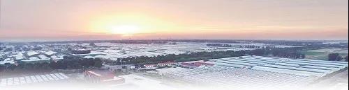 ?鄉(xiāng)村振興，壽光答卷