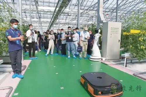 ?鄉(xiāng)村振興，壽光答卷