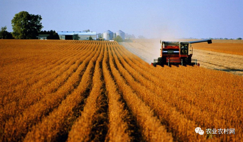 農(nóng)業(yè)農(nóng)村部數(shù)字農(nóng)業(yè)試點(diǎn)都需要符合哪些條件才能申報(bào)？