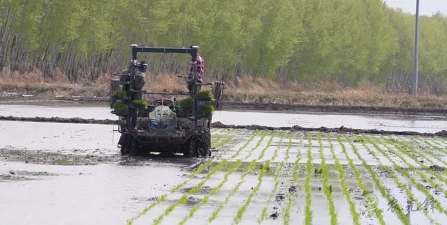 為什么要使用智能農(nóng)機(jī)？