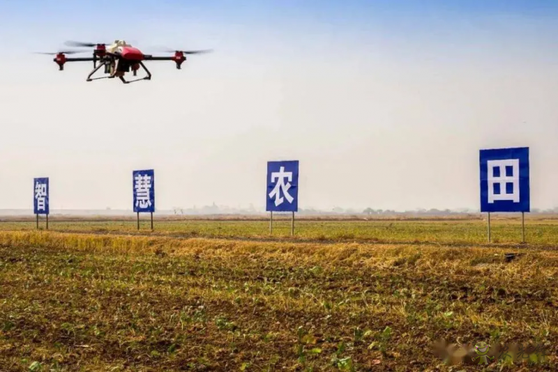 農(nóng)業(yè)農(nóng)村部：全力推進(jìn)高標(biāo)準(zhǔn)農(nóng)田建設(shè)，實(shí)施智慧農(nóng)業(yè)