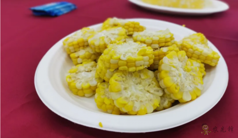 北京：發(fā)揮種業(yè)創(chuàng)新優(yōu)勢做強鮮食玉米產業(yè)