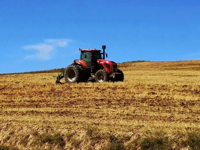 數(shù)字化時代，信息化育種的實施步驟和要點