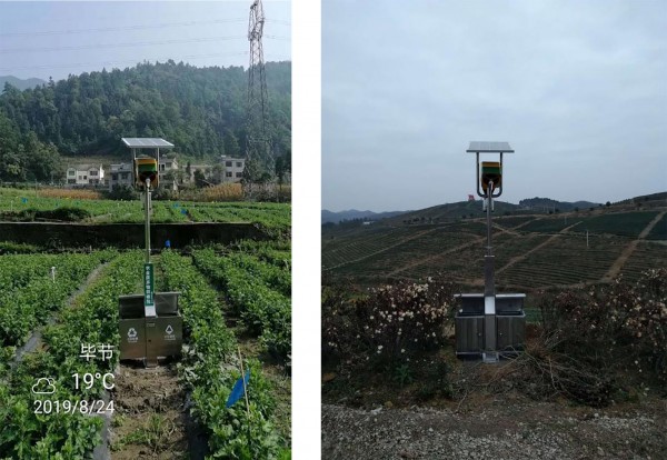 環(huán)衛(wèi)扇吸式高效捕蟲器