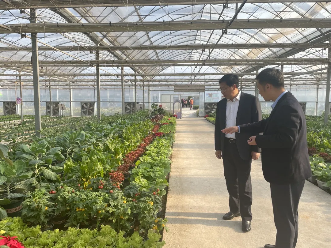 第五屆中國&middot;江蘇蔬菜種業(yè)博覽會開幕 1511個品種集體亮相