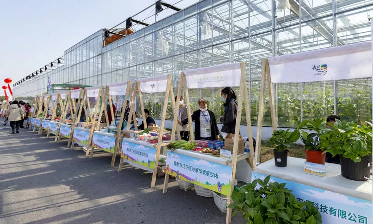 第五屆中國&middot;江蘇蔬菜種業(yè)博覽會開幕 1511個品種集體亮相
