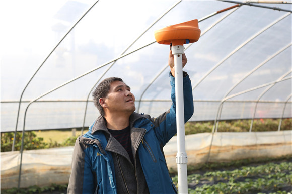 楊家全查看大棚內(nèi)控智能設(shè)備運(yùn)行情況