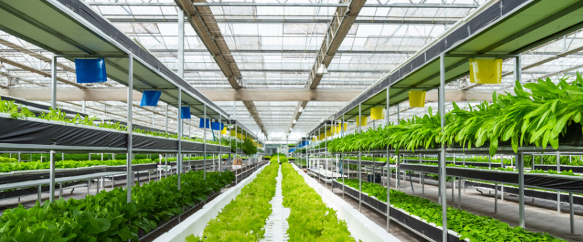 農(nóng)業(yè)物聯(lián)網(wǎng)的作用？農(nóng)業(yè)物聯(lián)網(wǎng)都應(yīng)用在哪？