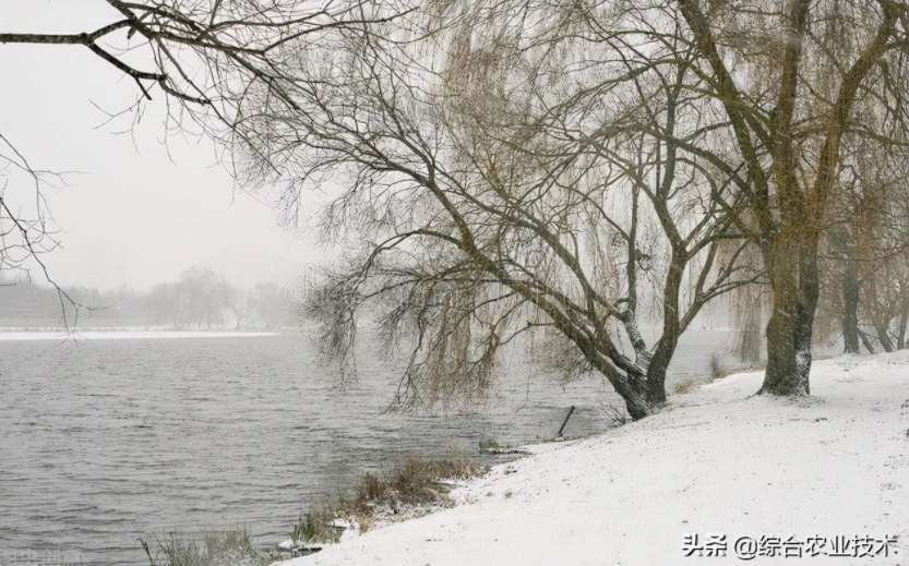 玉米地病蟲害越來(lái)越重，冬季閑了有辦法預(yù)防病蟲害嗎？