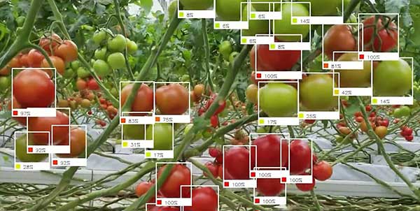 智慧農(nóng)業(yè)的未來——5款人工智能農(nóng)業(yè)機器人