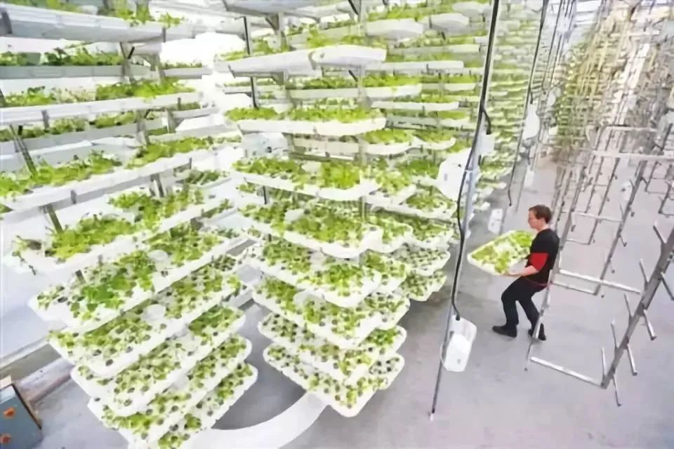 什么是垂直農(nóng)場？垂直農(nóng)場的盈利前景與經(jīng)典案例