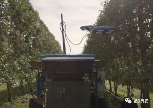 會摘蘋果的飛行機(jī)器人，從概念圖到商業(yè)化Tevel只用了4年