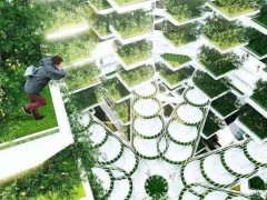 資本青睞的“垂直農(nóng)業(yè)”，能代表農(nóng)業(yè)的未來嗎？