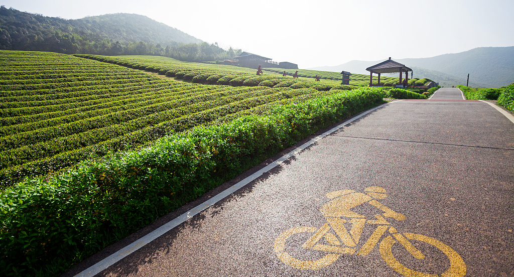提檔升級(jí)！“十四五”期間我省將建50個(gè)省級(jí)現(xiàn)代農(nóng)業(yè)產(chǎn)業(yè)高質(zhì)量發(fā)展示范園