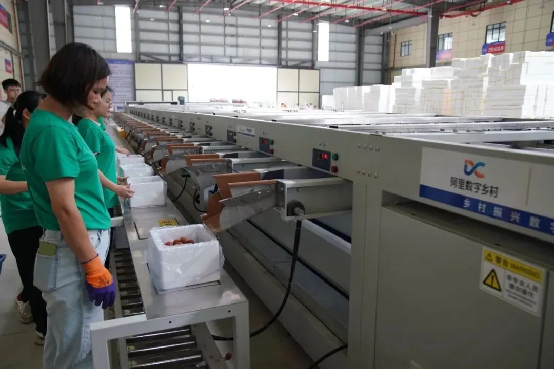 阿里“熱土計劃”再推18條鄉(xiāng)村振興新舉措！