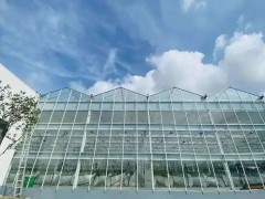 棚內(nèi)28攝氏度！嘉興這里的數(shù)字農(nóng)業(yè)車間很“清涼”