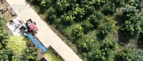 農(nóng)村居民人均可支配收入14600元 實(shí)際增長(zhǎng)4.3%