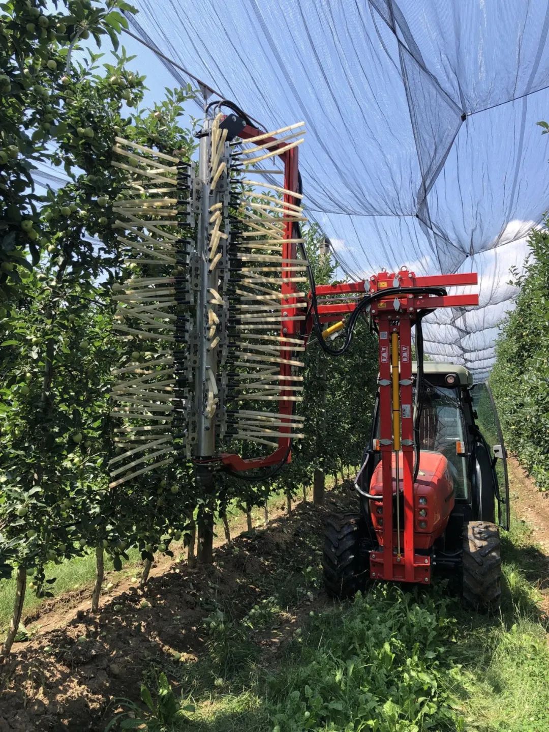 EIMA 2022技術(shù)創(chuàng)新獎釋出，自主性和環(huán)境友好產(chǎn)品受青睞