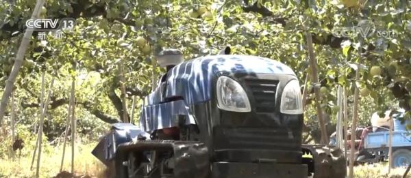 “中國(guó)梨都”安徽碭山酥梨：“數(shù)字果園”賦新能 增產(chǎn)增收