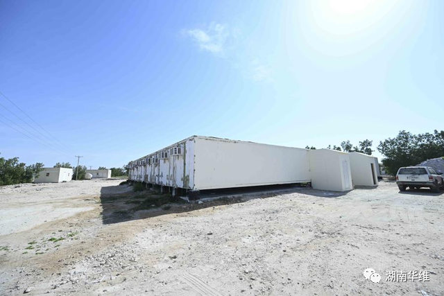 在沙漠里種菜？中國蔬菜走進(jìn)世界杯