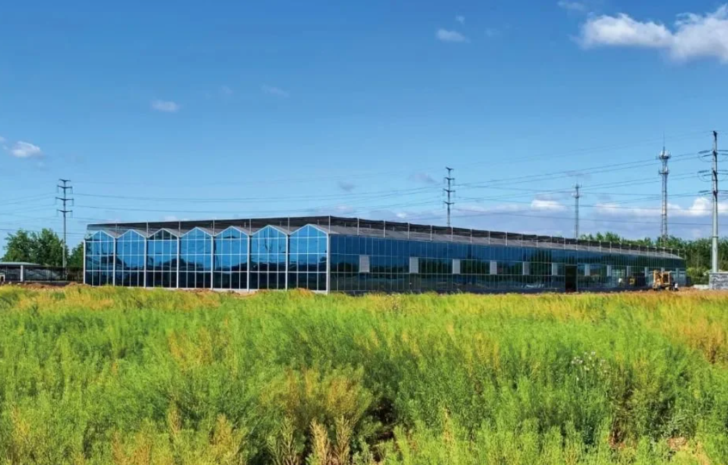 2023年農(nóng)業(yè)農(nóng)村部重點扶持的28類項目