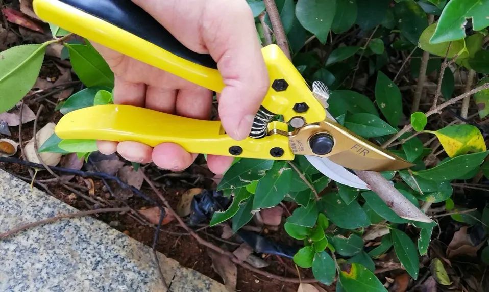 2023年中央一號(hào)文件解讀：加緊研發(fā)園藝機(jī)械應(yīng)該如何理解？