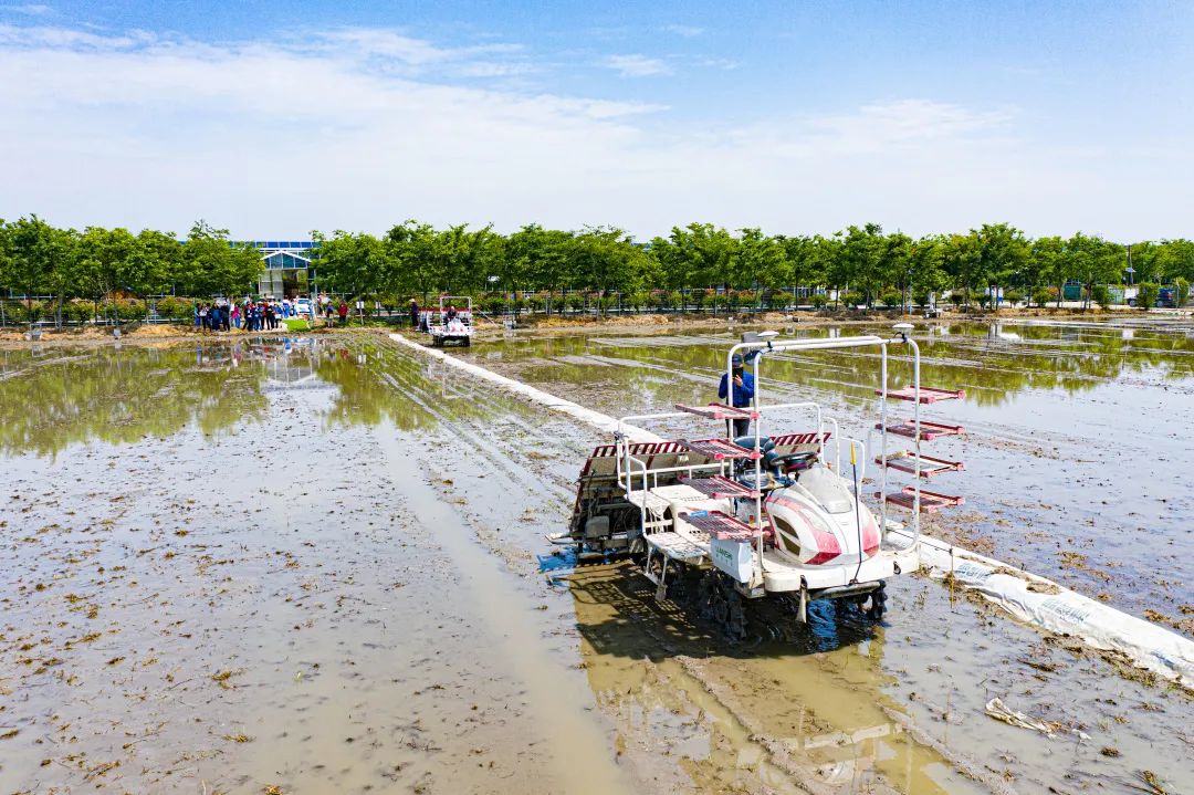 無人農(nóng)機(jī)加入滬郊水稻插秧大軍