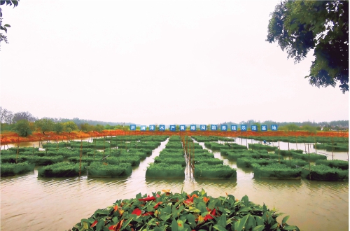 仙桃：一個(gè)百億級(jí)黃鱔產(chǎn)業(yè)鏈正在形成