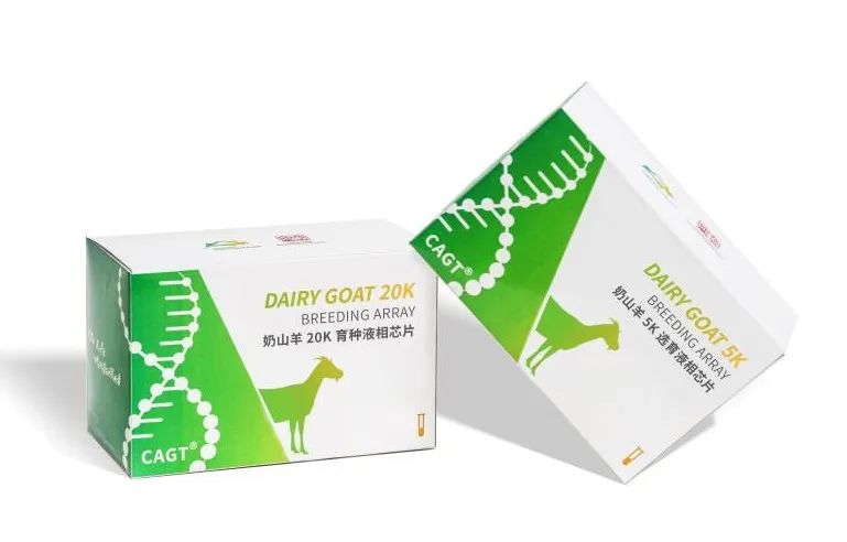 西北農(nóng)林科技大學(xué)成功研發(fā)國內(nèi)首款經(jīng)濟實用型奶山羊育種芯片
